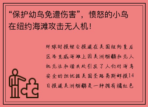 “保护幼鸟免遭伤害”,愤怒的小鸟在纽约海滩攻击无人机!